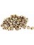 M3BN2 100 Adet M3x5x5mm Metrik Dişli Pirinç Tırtıl Yuvarlak Ekleme Somunları - Sarı (Yurt Dışından) 1