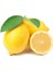 Tüplü Aşılı Zagara - Bianca Limon Fidanı 2 Yaş (100-120 Cm) 2
