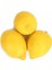 Tüplü Aşılı Lamas Limon 2 Yaş (Boy 90-110 Cm) 1
