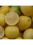 Tüplü Aşılı Lime Tahiti Limequat Fidanı 2 Yaş 80-110 Cm Boy 2