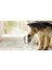 Dogshower 150 3jet Petrol 3