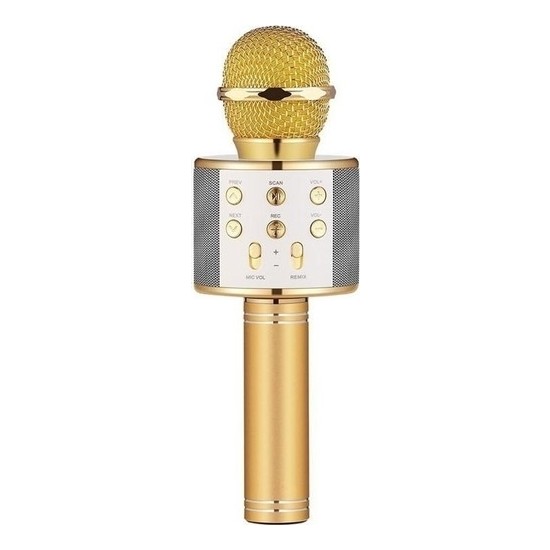 Case 4U Karaoke Mikrofon Bluetooth Hoparlör Aux Usb Mikro Sd Kart Girişli Altın