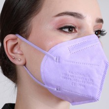 Famex N95 Ffp2 Koruyucu Maske Mor Renk 10 Adet Tekli Paket Duck Modeli