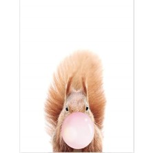 Womb Hobby Sakız Çiğneyen Sincap Sayılarla Boyama SETI 40X50 cm Tuval Şasesine Gerili