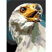 Womb Hobby Kartal Başı Sayılarla Boyama Hobi ve Tablo Seti 60X75 cm Kasnağa Gerili