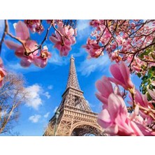 Womb Hobby Eyfelde Açan Çiçekler Sayılarla Boyama SETI40X50 cm Tuval Şasesine Gerili