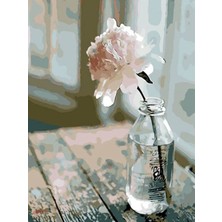 Womb Hobby Yalnız Çiçek Sayılarla Boyama Seti 40X50 cm Tuvale Gerili