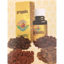 Yolcular Yığılca Propolis Sıvı 20 ml Yolcular Yığılca