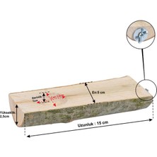 X-Perk Doğal Ağaç Kuş Tüneği ve Yemlik Kütük  Tünek Yemlikli Ağaç Tünek