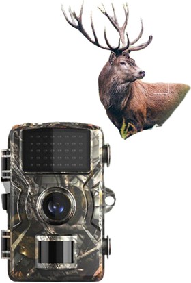 Fotokapan Avcı Kamerası Su Geçirmez 1080P Gece Görüşlü Hareket Sensörlü