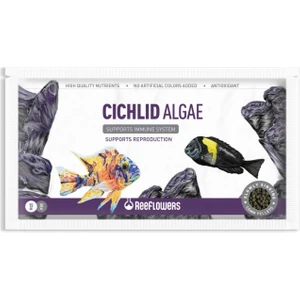 Reeflowers Cichlid Algae Balık Yemi 15 gr