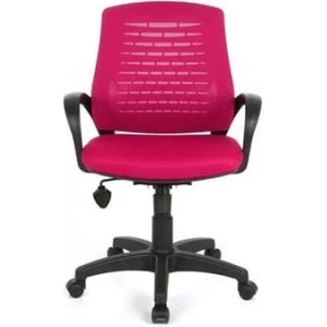 Zirve Fileli Polen Çalışma Sekreter Ofis Koltuğu Bilgisayar Sandalyesi