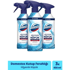 Hijyenik Köpük Kutup Ferahlığı 450 ml x 3
