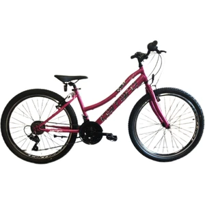 Speed 242 24 Jant 21 Vites 2021 Model Dağ Bisikleti