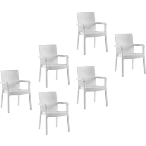 Markiz Rattan Koltuk Beyaz | 6'lı Set