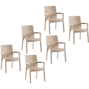 Markiz Rattan Koltuk Cappuccino | 6'lı Set