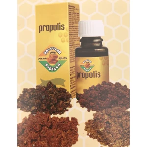 Yolcular Yığılca Propolis Sıvı 20 ml Yolcular Yığılca