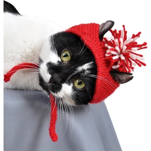 Örme Kedi Şapkası