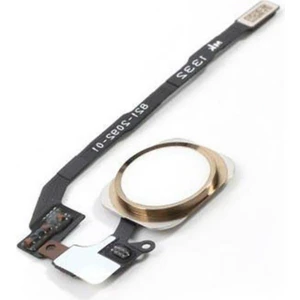 Nokta Teknik iPhone 5s Home Tuş Bordu Film Touch Id - Gold
