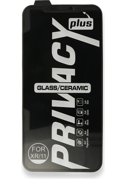 iPhone 11 Pro Max Uyumlu 34D Hayalet Izgaralı Cam