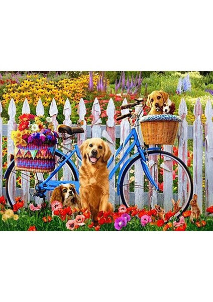 Bisiklet Sayılarla Boyama SETI60X75 cm Tuval Şasesine Gerili