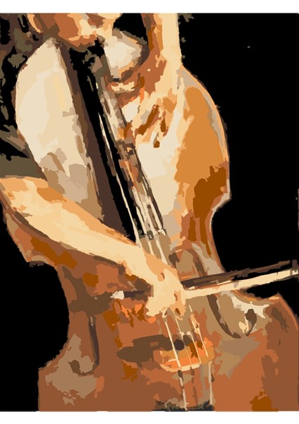 Müziğin Ahengi Sayılarla Boyama Seti 60X75 cm Tuvale Gerili