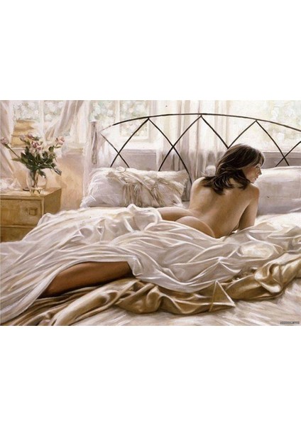 Yatak Keyfi Sayılarla Boyama SETI40X50 cm Tuval Şasesine Gerili