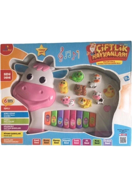 Can Ali Toys Türkçe Müzikli Eğitici Piyano