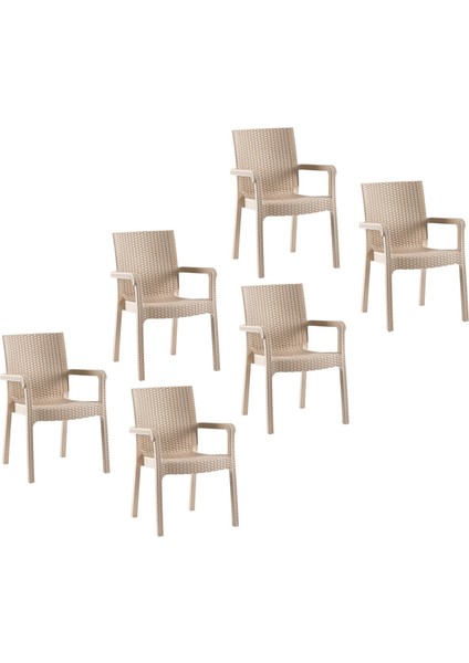 Markiz Rattan Koltuk Cappuccino | 6'lı Set