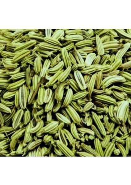 Rezene Tane 100 gr fiyatları