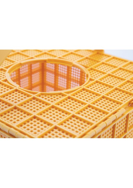 Lyson Plastik Arı Taşıma Kutusu, Suluklu LY-H7445 - Arıcılık