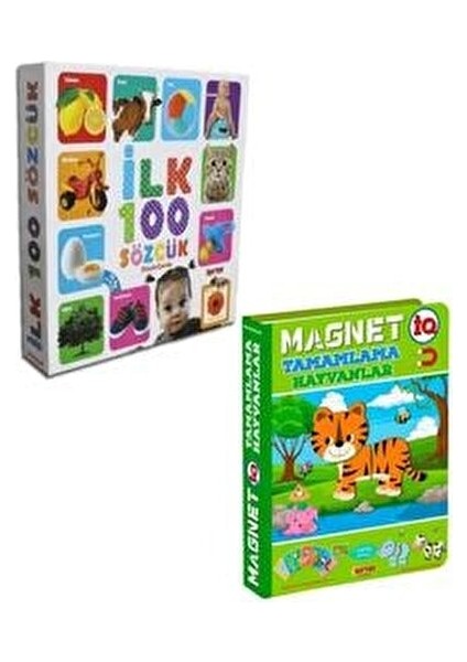 Diy-Toy Diytoy Ilk 100 Sözcük + Magnet Hayvanlar Tamamlama (2 Ürün Bir Arada)