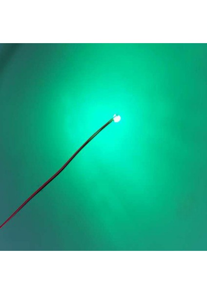 40-120 Ayarla Model LED Işık Mini Koku Peyzaj Diorama 120 Adet 6 Renkler