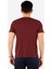 Regular Fit V Yaka %100 Pamuk Kısa Kollu Basic Penye T-Shirt-PE3602TY22 3