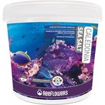Reeflowers Caledonia Sea Salt 1kg Poşette Akvaryum Tuzu