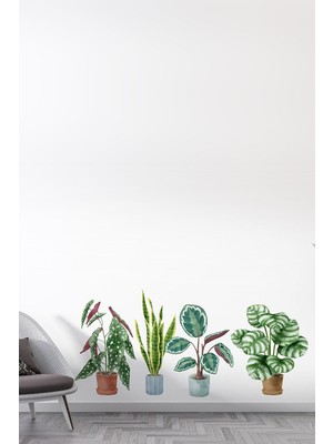 Kt Grup Modern Kaktüsler Duvar Sticker Seti