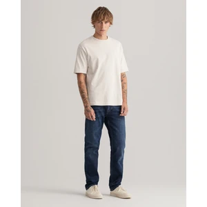 Arley Erkek Lacivert Regular Fit Jean Pantolon 1000309.961