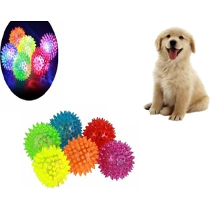 Sesli Işıklı Köpek Oyuncağı Topu Dikenli Diş Kaşıma Topu