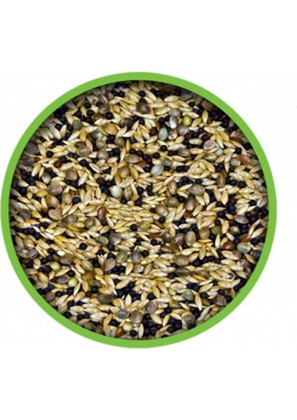 Karışık kanarya Yemi 250 Gr