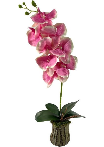 Yapay Çiçek Kütük Saksılı Tekdal Orkide Pembe 50 x 30 cm