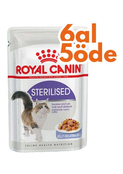 Pouch Jelly Sterilised Kısırlaştırılmış Yaş Kedi Maması 85 gr