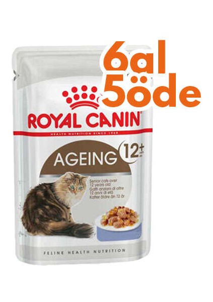 Pouch Gravy Ageing +12 Yaşlı Kedi Yaş Maması 85 gr