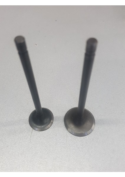 Titan Emme Egzoz Subap Takım fiyatları