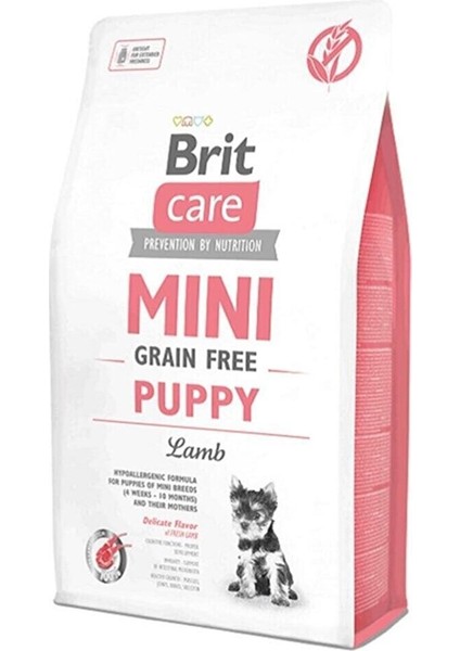 Mini Puppy Küçük Irk Kuzulu Yavru Köpek Maması 2 kg