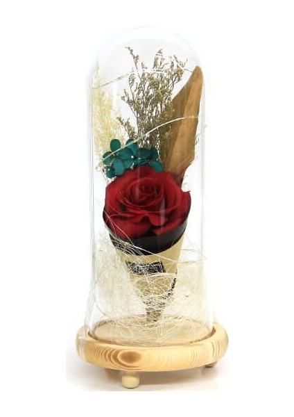 Fanus Gül 28/12CM Cam Fanus LED Işıklı Hediyelik
