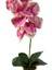 Yapay Çiçek Kütük Saksılı Tekdal Orkide Pembe 50 x 30 cm 3