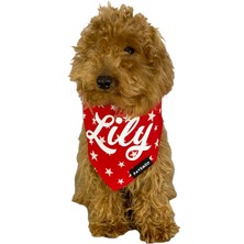 Patimio Isimli Red Stars Tasma Fular Bandana