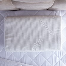 Homedius Viscotherm Queen Boyun Destek Yastığı