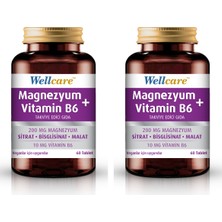 Wellcare Magnezyum + Vitamin B6 60 Tablet 2 Kutu