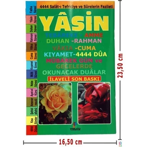 My Belizze Yasin, Tebareke, Amme ve Namaz Sureleri Mealli, Türkçe Okunuşlu Orta Boy 2. Hamur 74 Sayfa 1 Adet